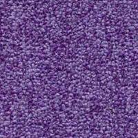 Ковролин Radici Trotter Viola 2421 фото 1 | FLOORDEALER